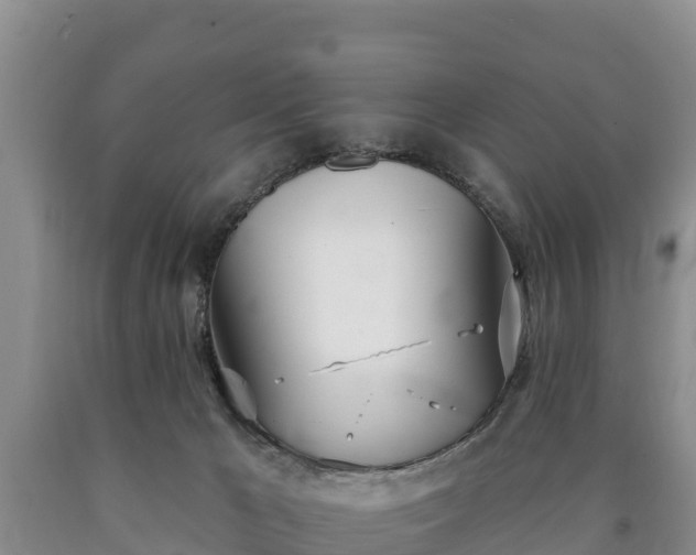 X0000090710029200707271140