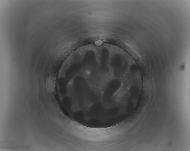 X0000090710030200707271140