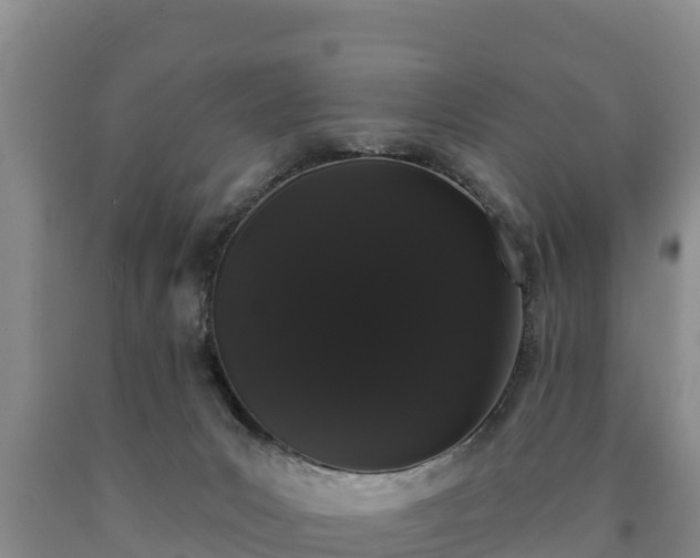 X0000090710031200707271140