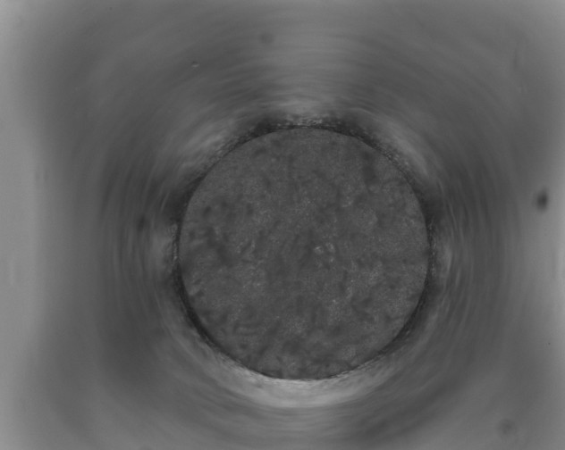 X0000090710034200707271140