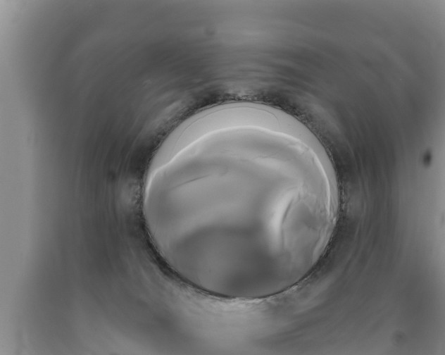 X0000090710036200707271140