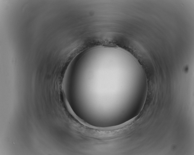 X0000090710037200707271140