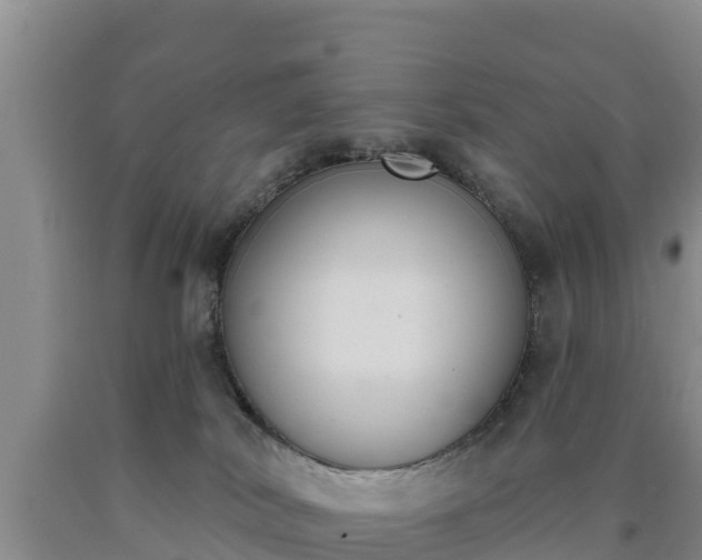 X0000090710038200707271140