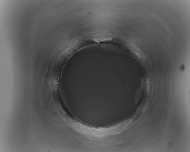 X0000090710039200707271140