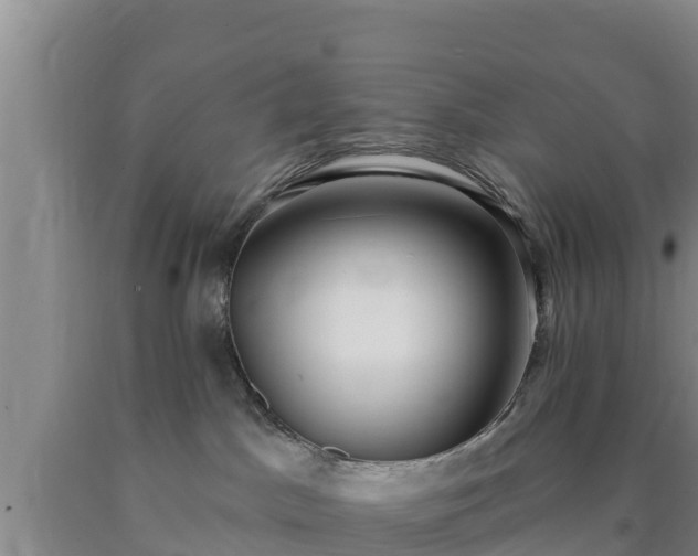 X0000090710045200707271140