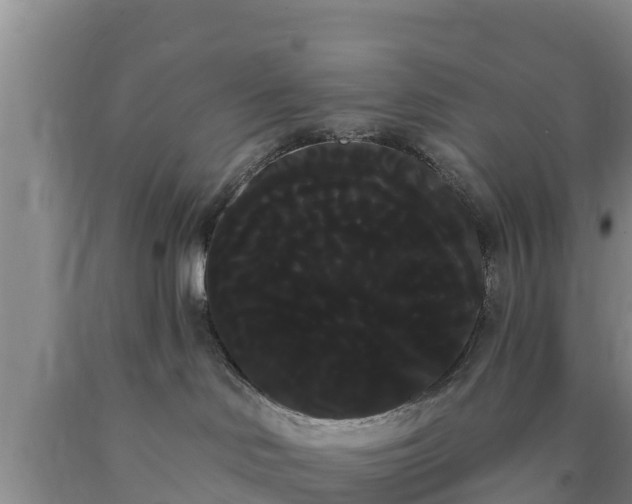 X0000090710046200707271140