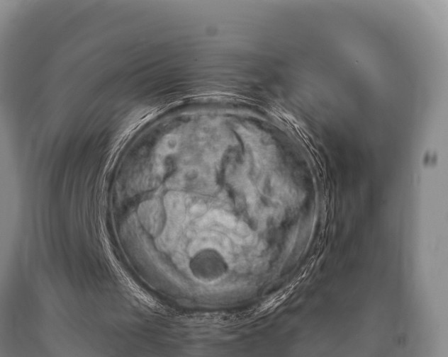 X0000090710049200707271140