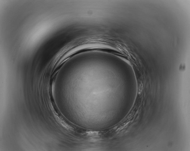 X0000090710052200707271140