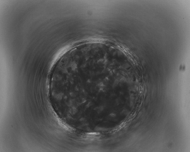 X0000090710053200707271140