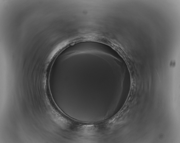 X0000090710054200707271140