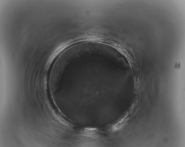 X0000090710055200707271140