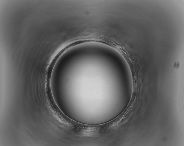 X0000090710056200707271140