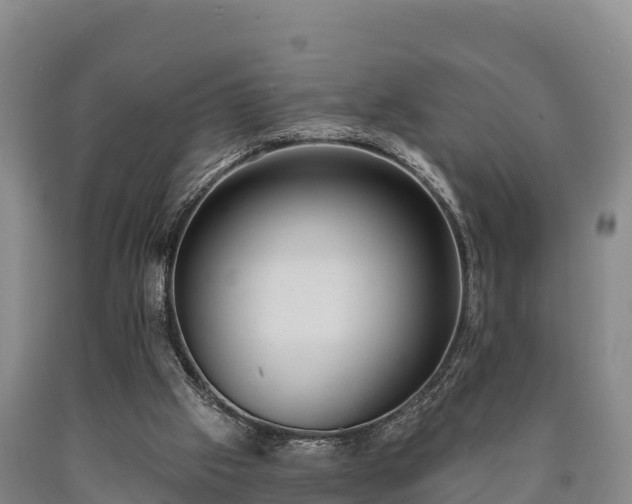 X0000090710057200707271140