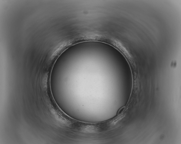 X0000090710058200707271140