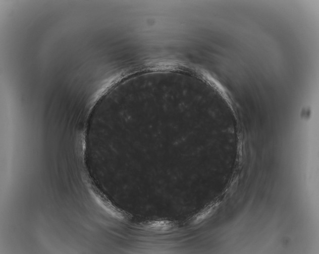 X0000090710059200707271140