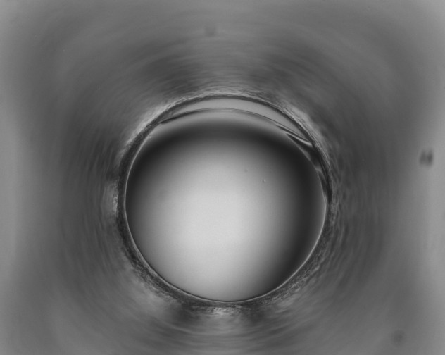 X0000090710060200707271140