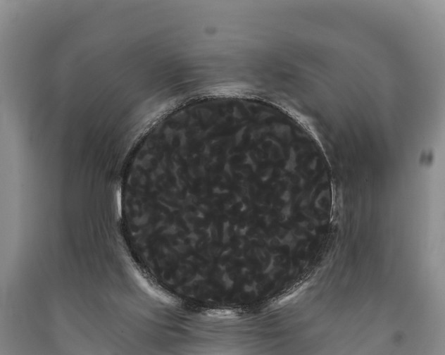 X0000090710061200707271140