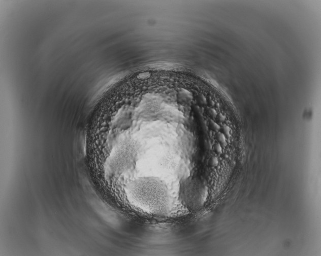 X0000090710062200707271140