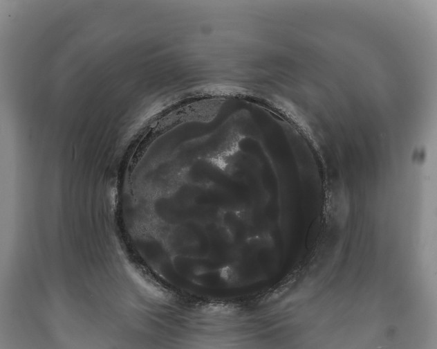 X0000090710063200707271140