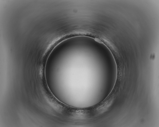 X0000090710064200707271140