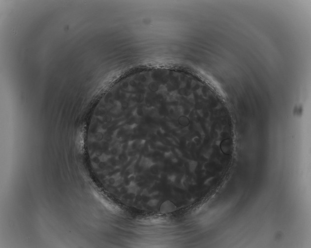 X0000090710065200707271140