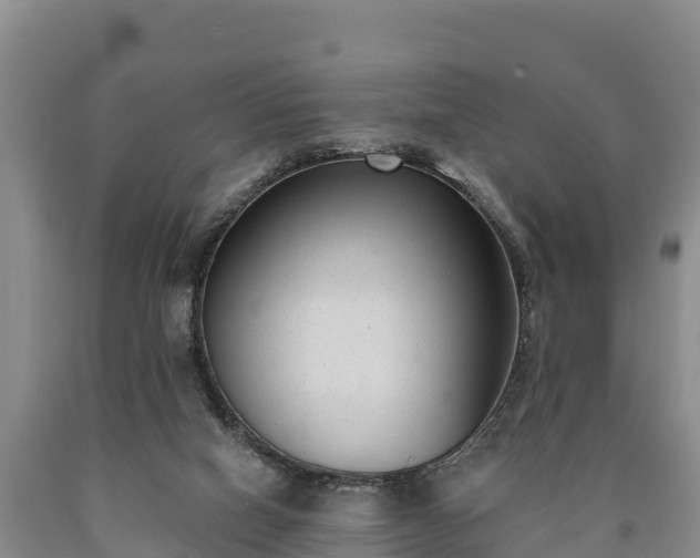 X0000090710066200707271140