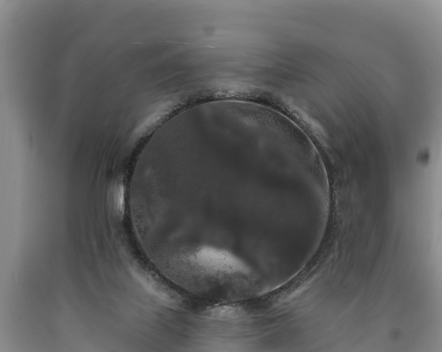 X0000090710067200707271140