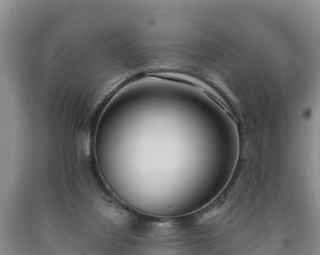 X0000090710068200707271140