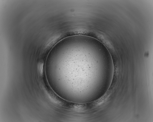 X0000090710070200707271140