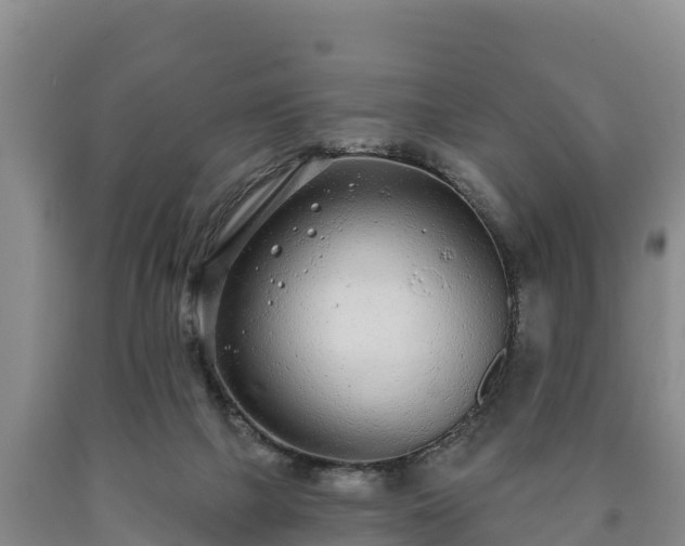 X0000090710073200707271140