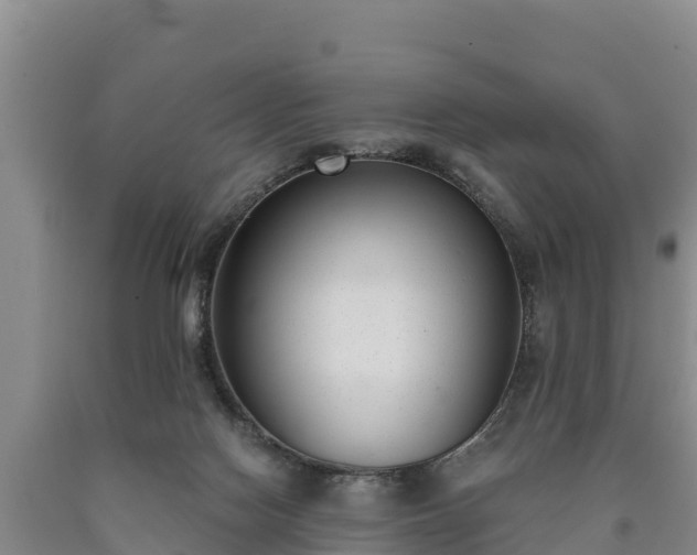 X0000090710074200707271140