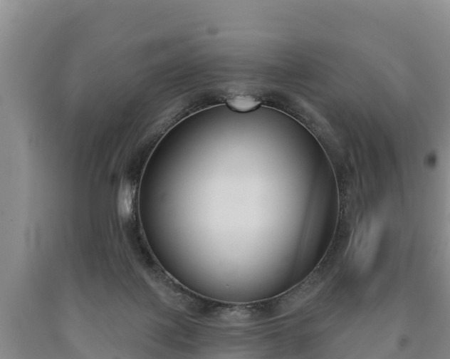 X0000090710075200707271140