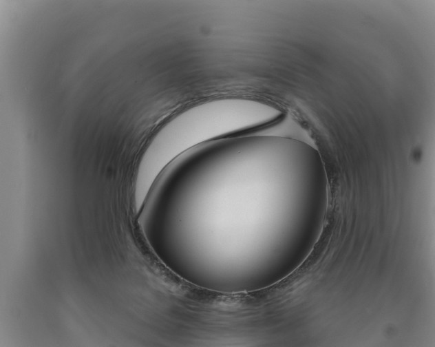 X0000090710076200707271140