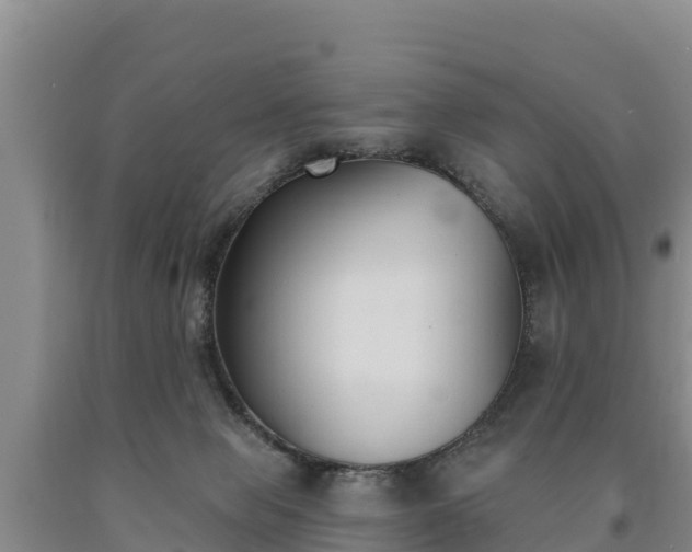 X0000090710077200707271140