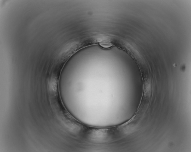 X0000090710078200707271140