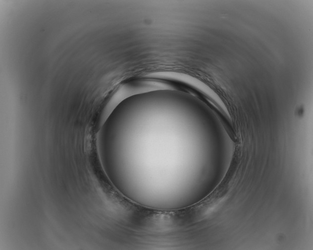 X0000090710080200707271140