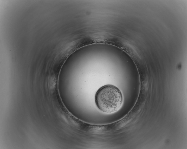 X0000090710081200707271140