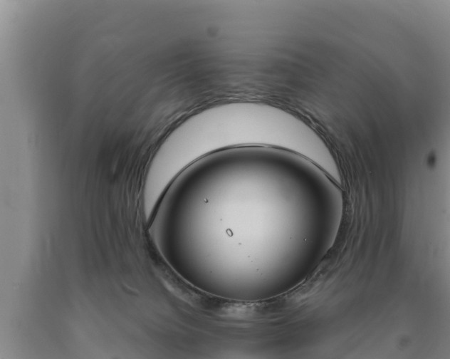 X0000090710084200707271140