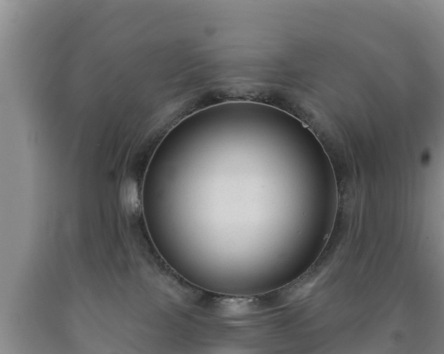 X0000090710089200707271140