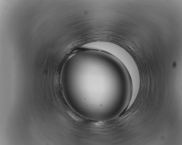 X0000090710092200707271140