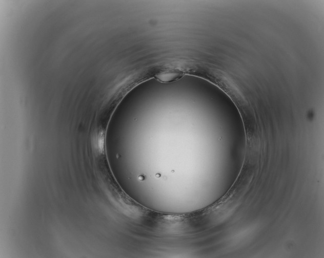 X0000090710095200707271140