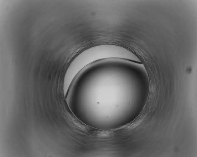 X0000090710096200707271140