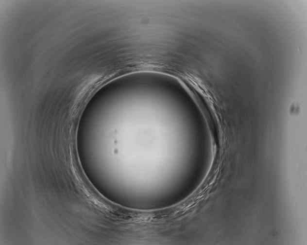 X0000090710097200707271140