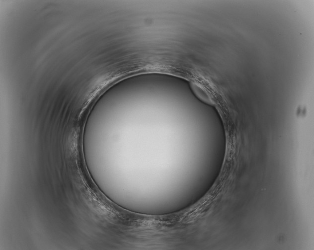 X0000090710098200707271140