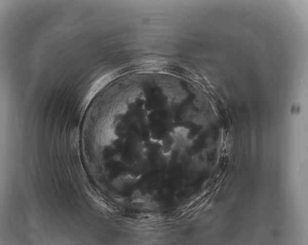 X0000090710099200707271139