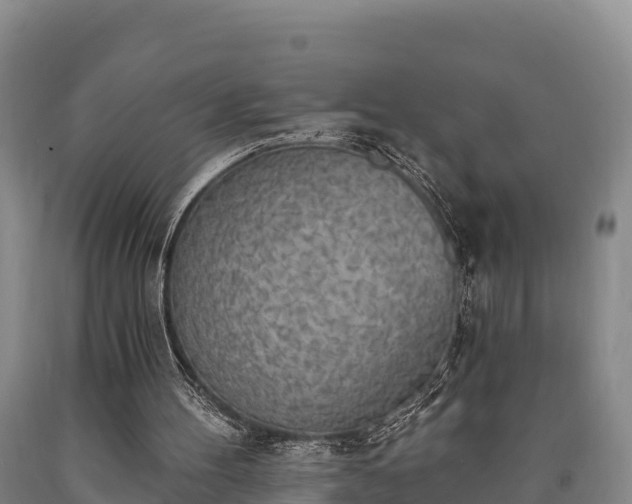 X0000090710100200707271139