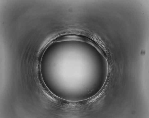 X0000090710101200707271139