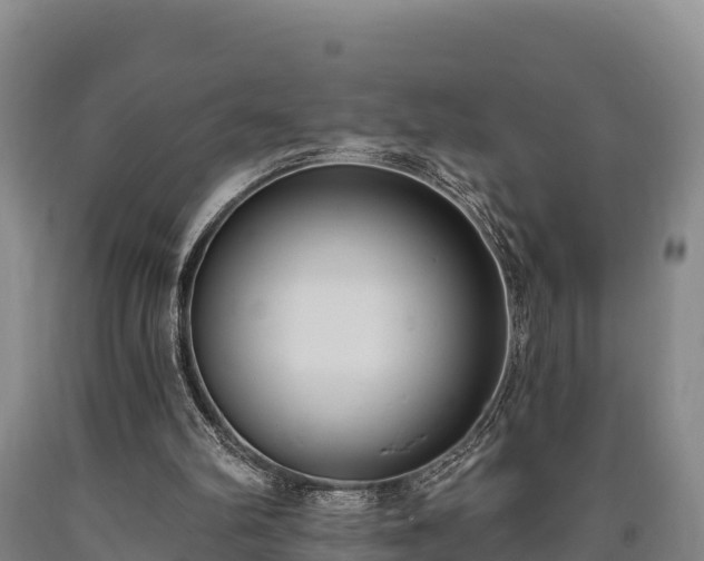 X0000090710102200707271139