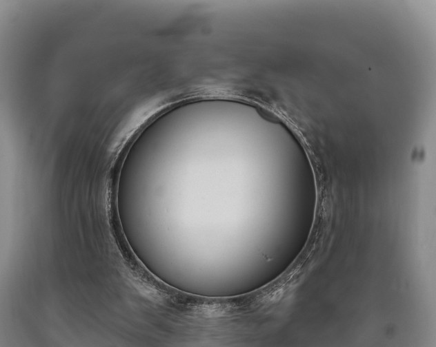 X0000090710103200707271139