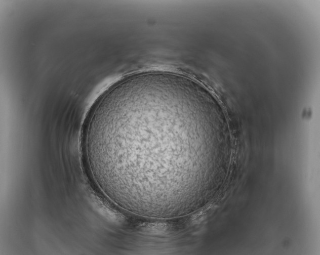 X0000090710104200707271139